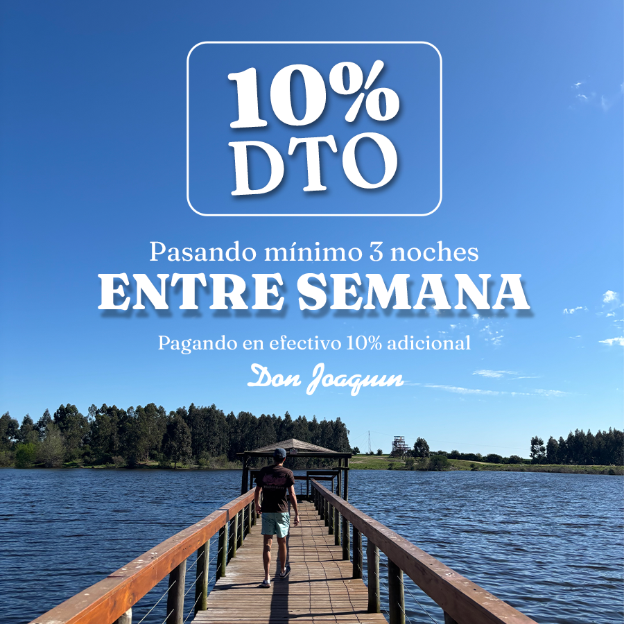 Banner | Don Joaquín